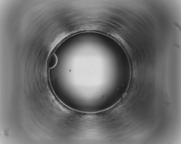 X0000103280894200808291309