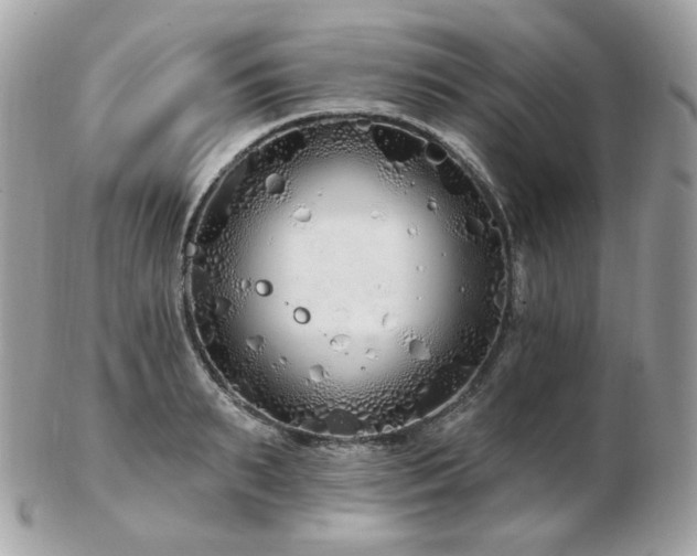 X0000103280895200808291309