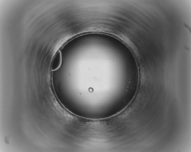 X0000103280896200808291309