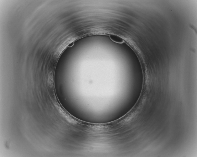 X0000103280897200808291309