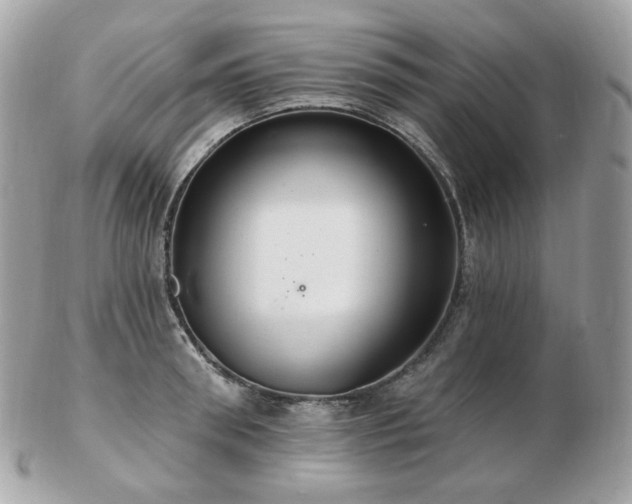 X0000103280898200808291309