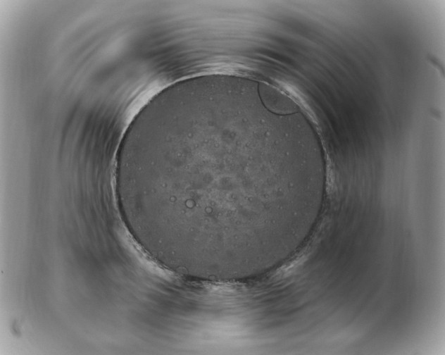 X0000103280899200808291309