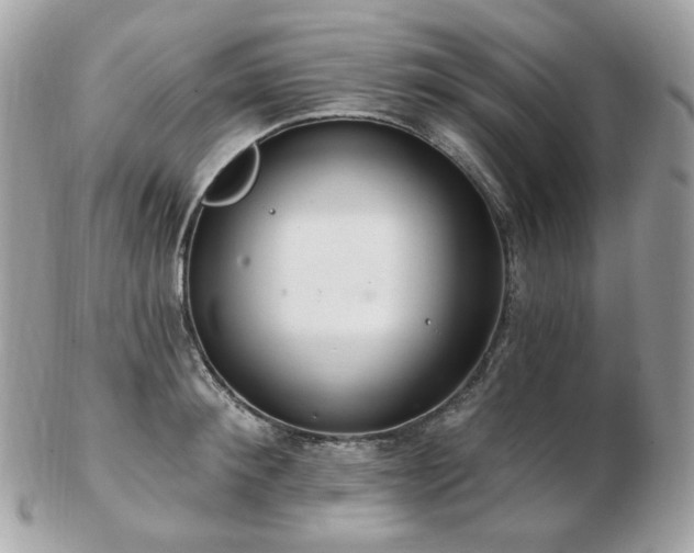 X0000103280900200808291309