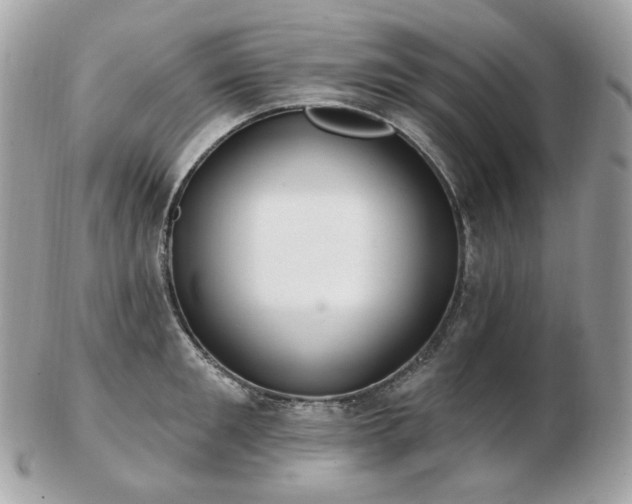 X0000103280901200808291309