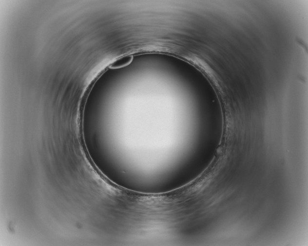 X0000103280902200808291309