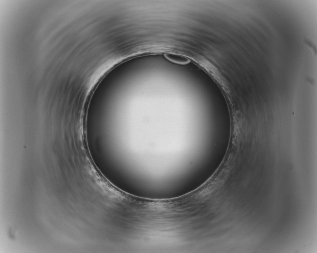 X0000103280904200808291309