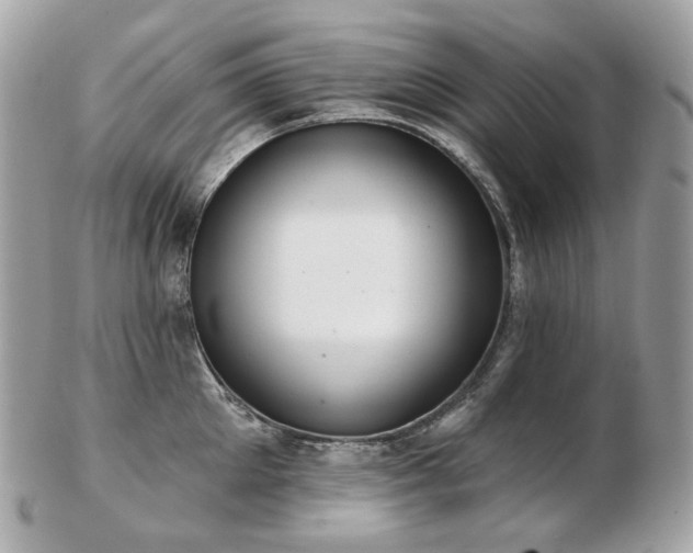 X0000103280905200808291308