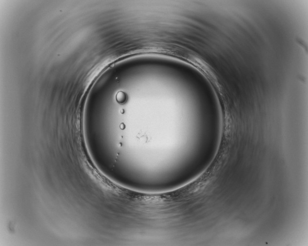 X0000103280907200808291308