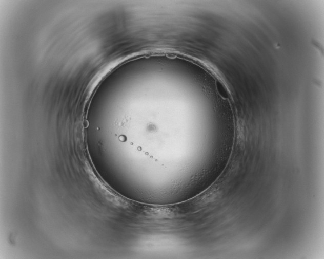 X0000103280911200808291308