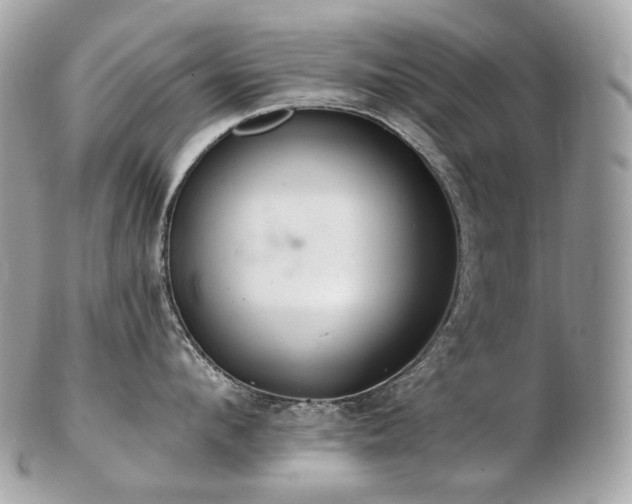 X0000103280912200808291308