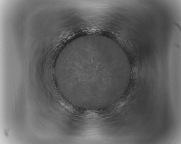 X0000103280913200808291308