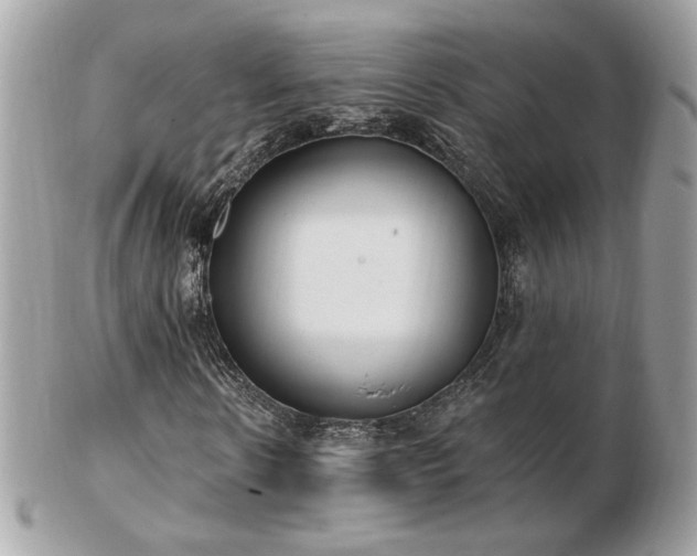 X0000103280914200808291308