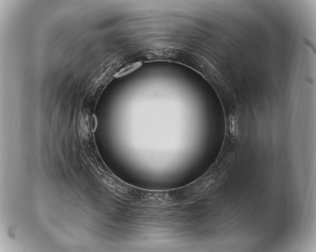 X0000103280915200808291308