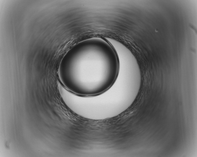 X0000103280916200808291308