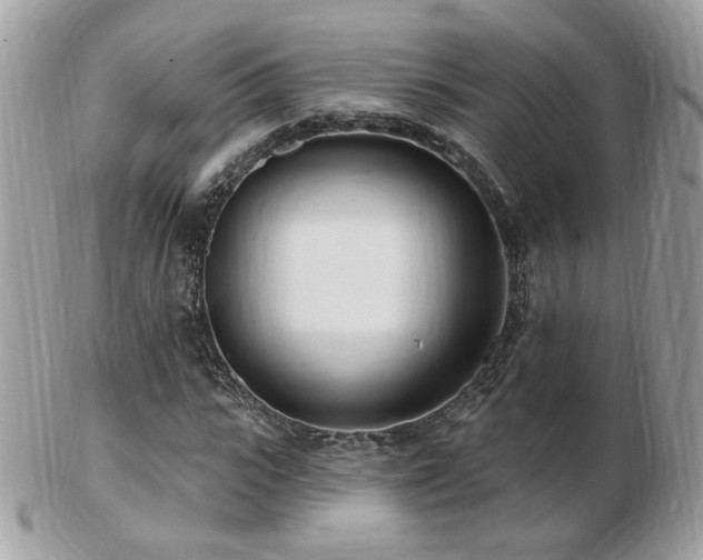 X0000103280919200808291308