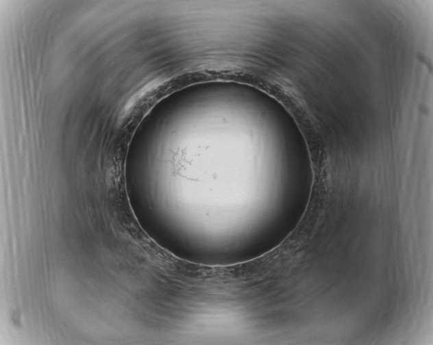 X0000103280920200808291308