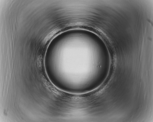 X0000103280921200808291308