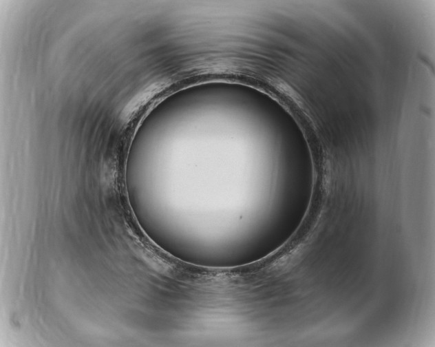 X0000103280922200808291308