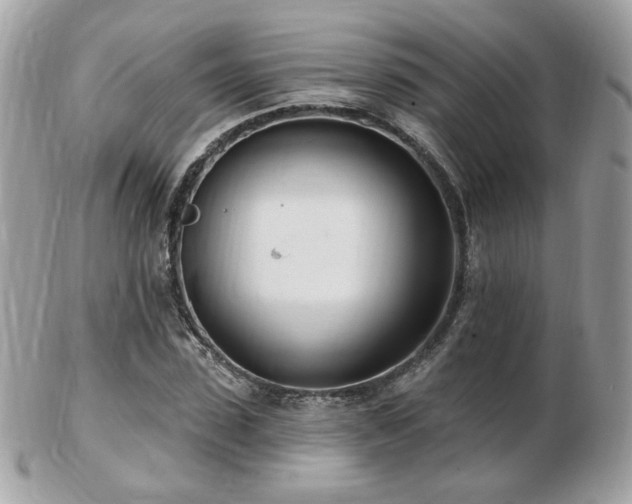 X0000103280923200808291308