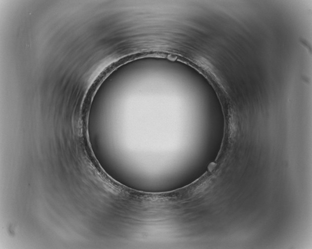 X0000103280924200808291308