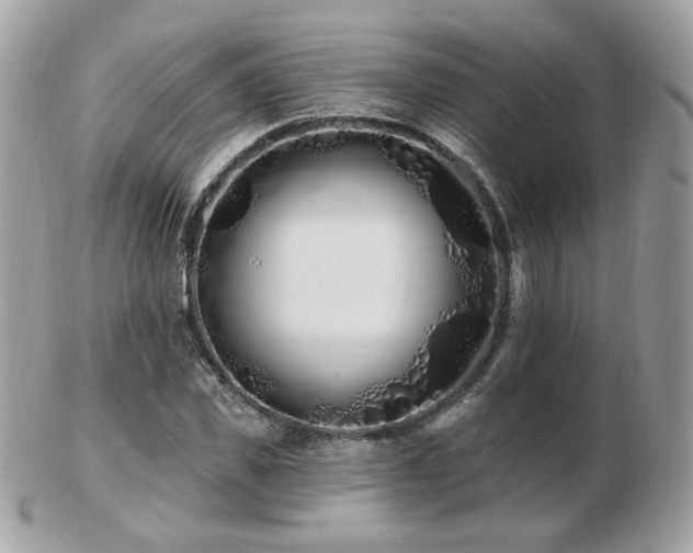 X0000103280925200808291308