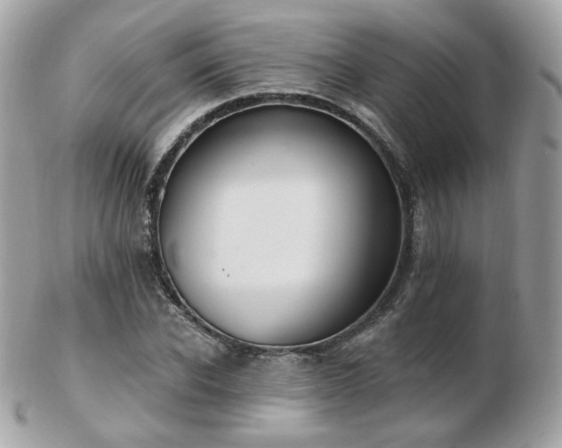 X0000103280926200808291308