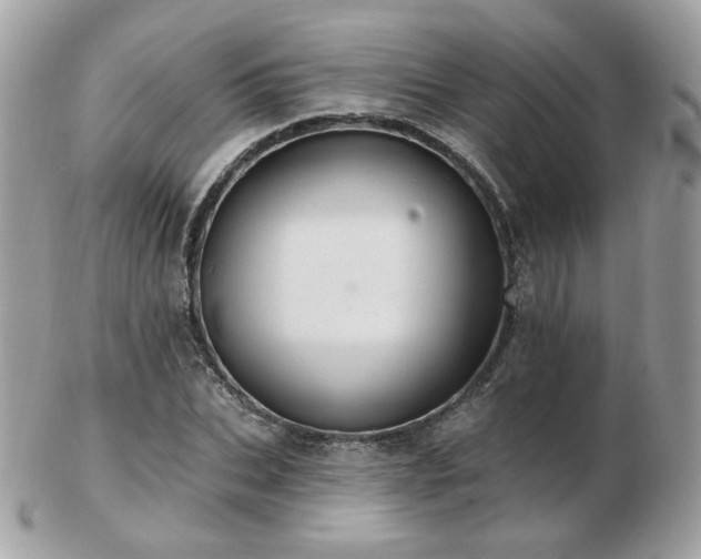 X0000103280927200808291308