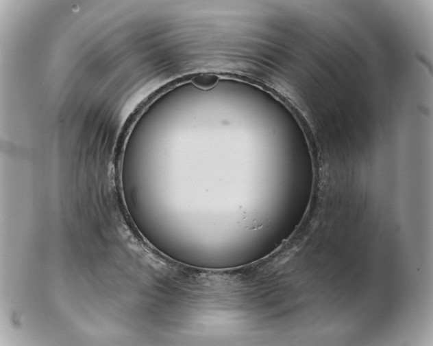 X0000103280928200808291308