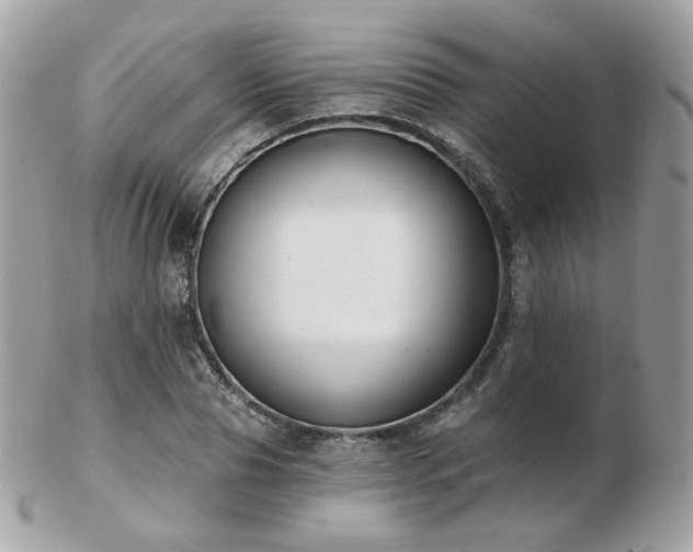 X0000103280929200808291308