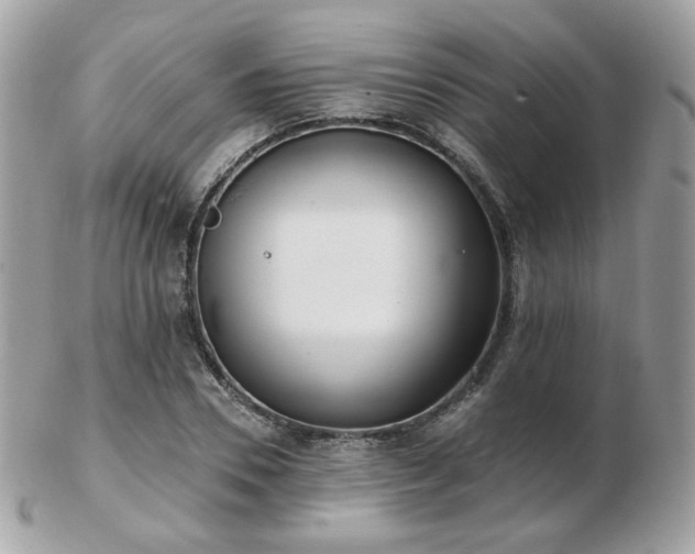 X0000103280930200808291308