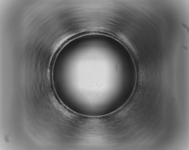 X0000103280932200808291308