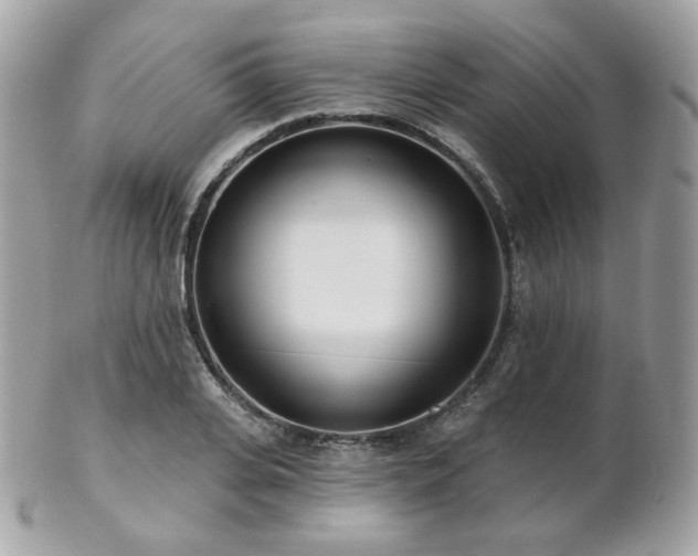 X0000103280935200808291308