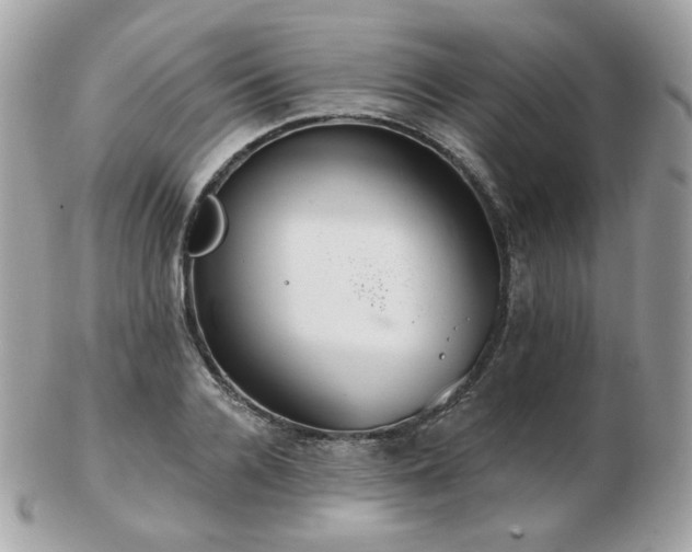 X0000103280936200808291308