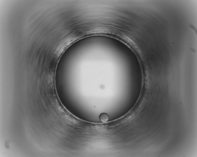 X0000103280937200808291308