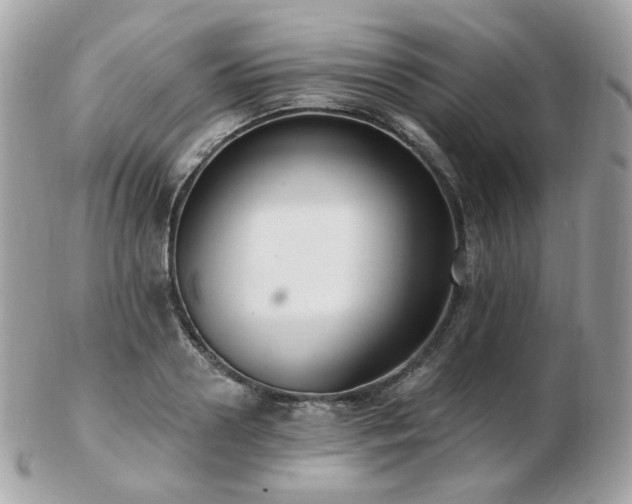 X0000103280938200808291308