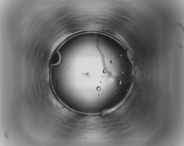 X0000103280939200808291308