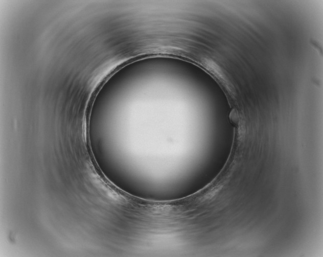 X0000103280940200808291308