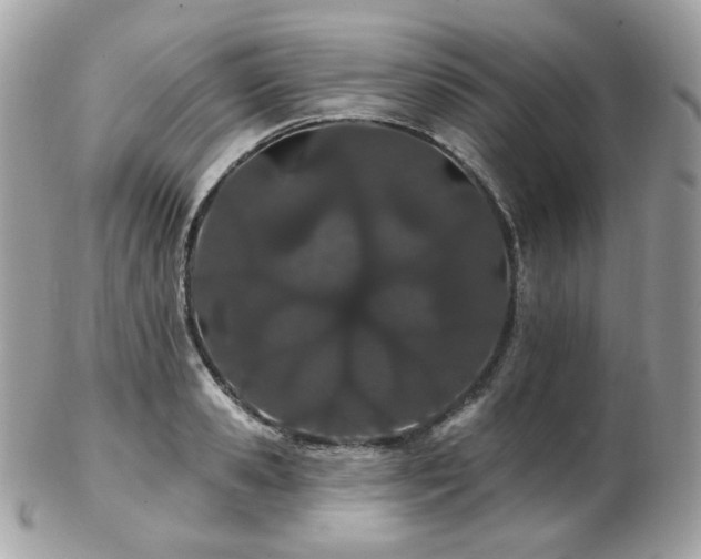 X0000103280941200808291308