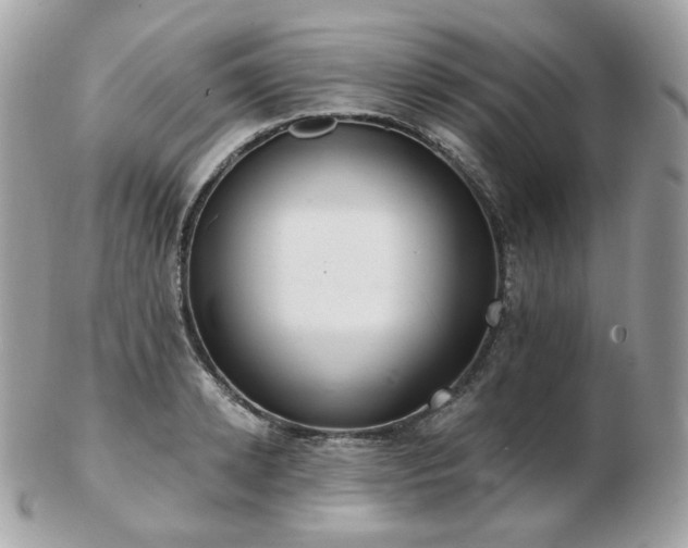 X0000103280942200808291308