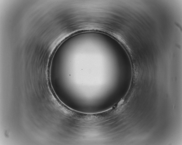 X0000103280943200808291308