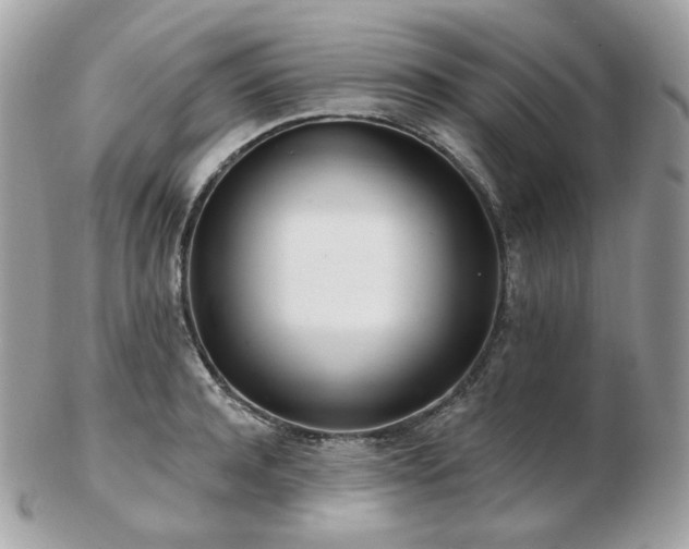 X0000103280944200808291308