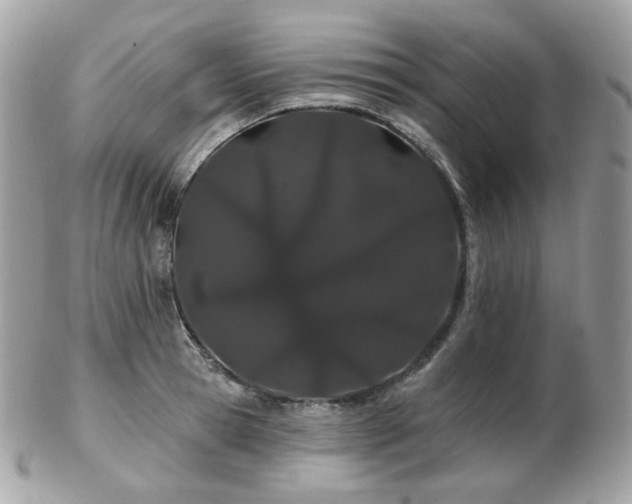 X0000103280945200808291308