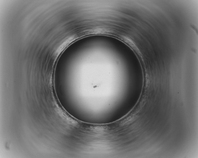 X0000103280946200808291308