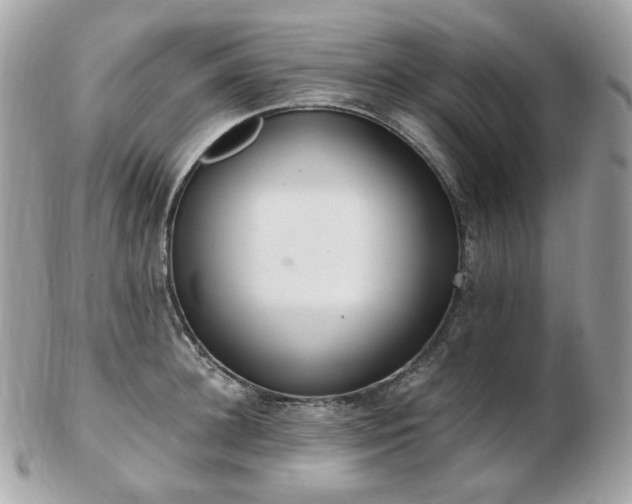 X0000103280948200808291308