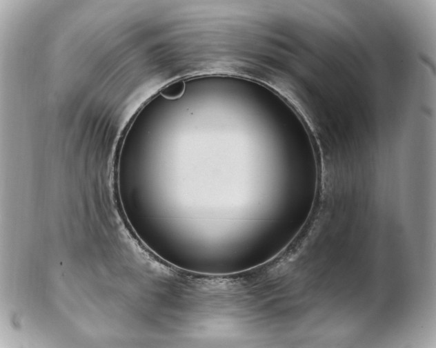 X0000103280949200808291308