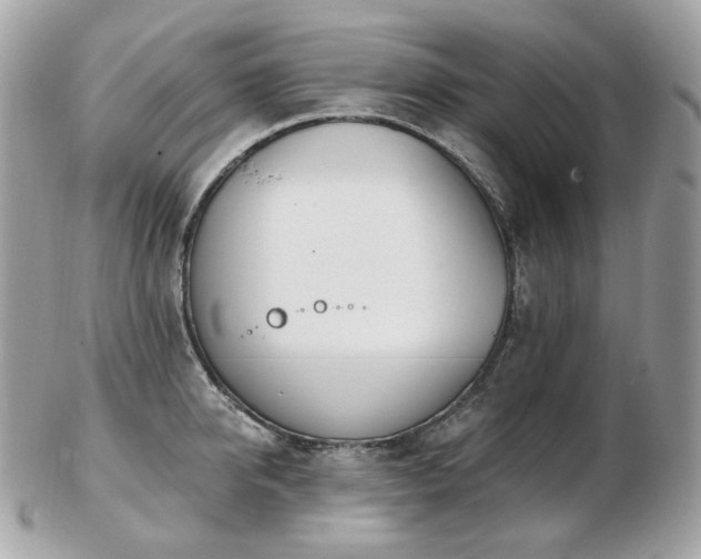 X0000103280950200808291308