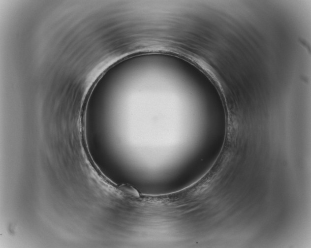 X0000103280951200808291308