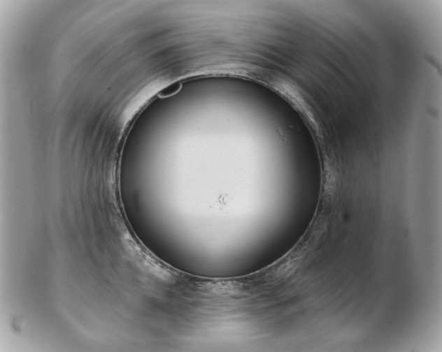 X0000103280952200808291308