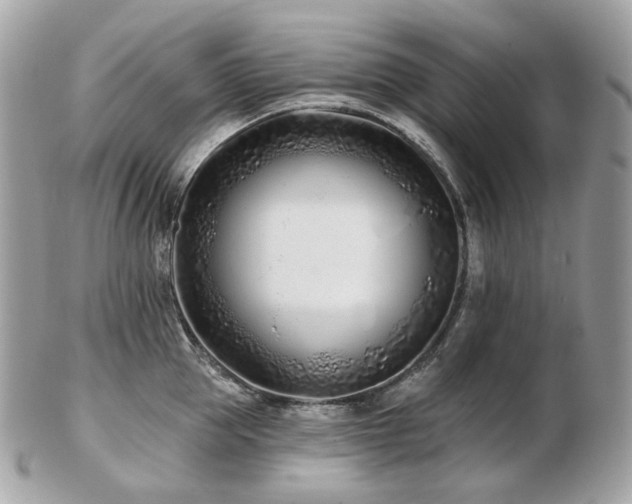 X0000103280953200808291308