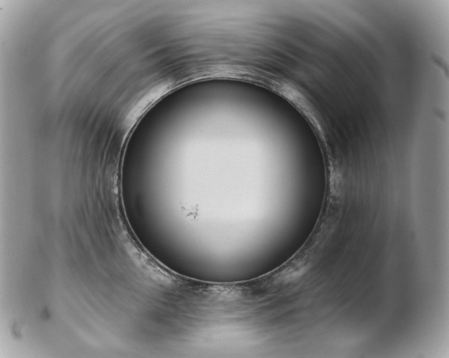 X0000103280954200808291308